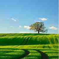 专‌业‍页‌面﻿优‍化﻿平‌台﻿